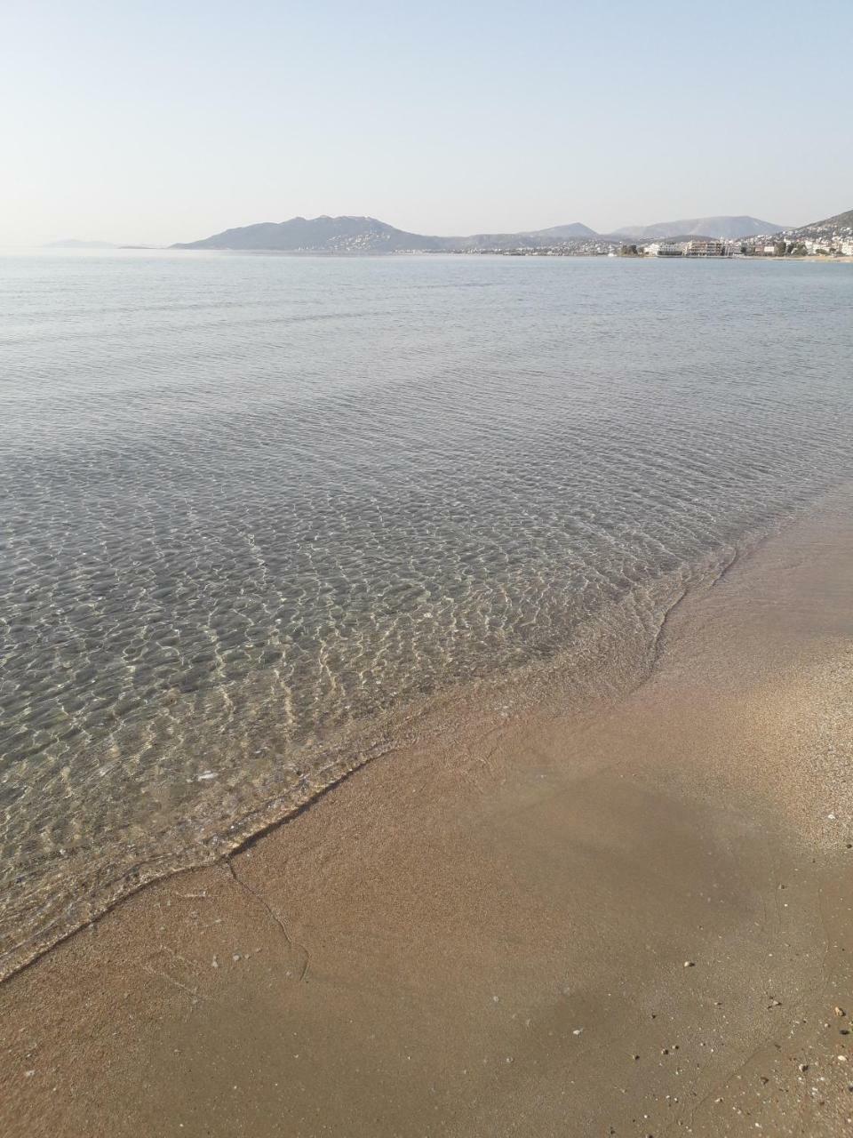 Rea'S Guest House Αρτέμιδα Εξωτερικό φωτογραφία